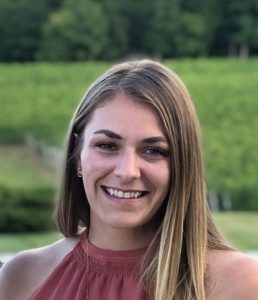 Melissa gibson thesis 02 image